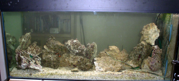 l'aquarium